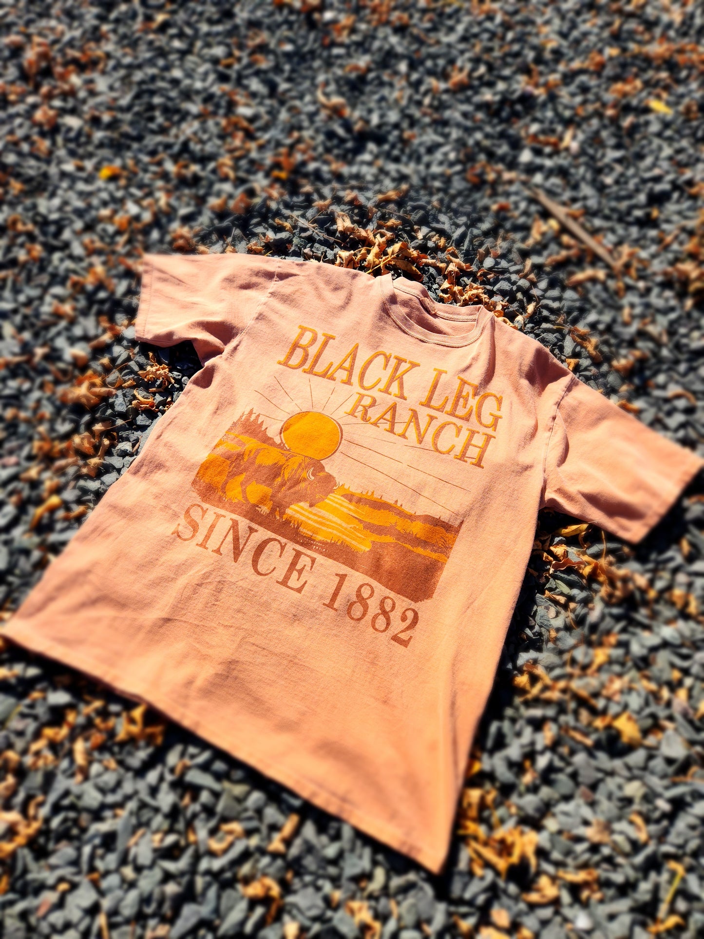 Black Leg Ranch Graphic T-shirt