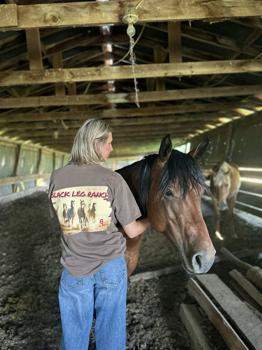 Legacy Horses Tee