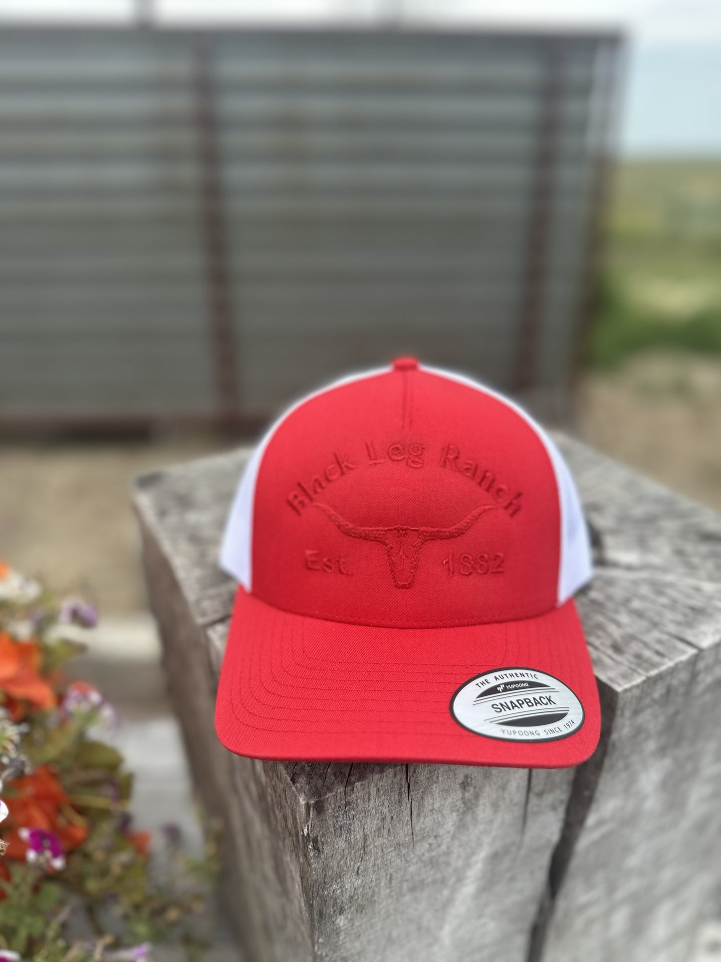 Black Leg Ranch Longhorn Hat (FREE SHIPPING)