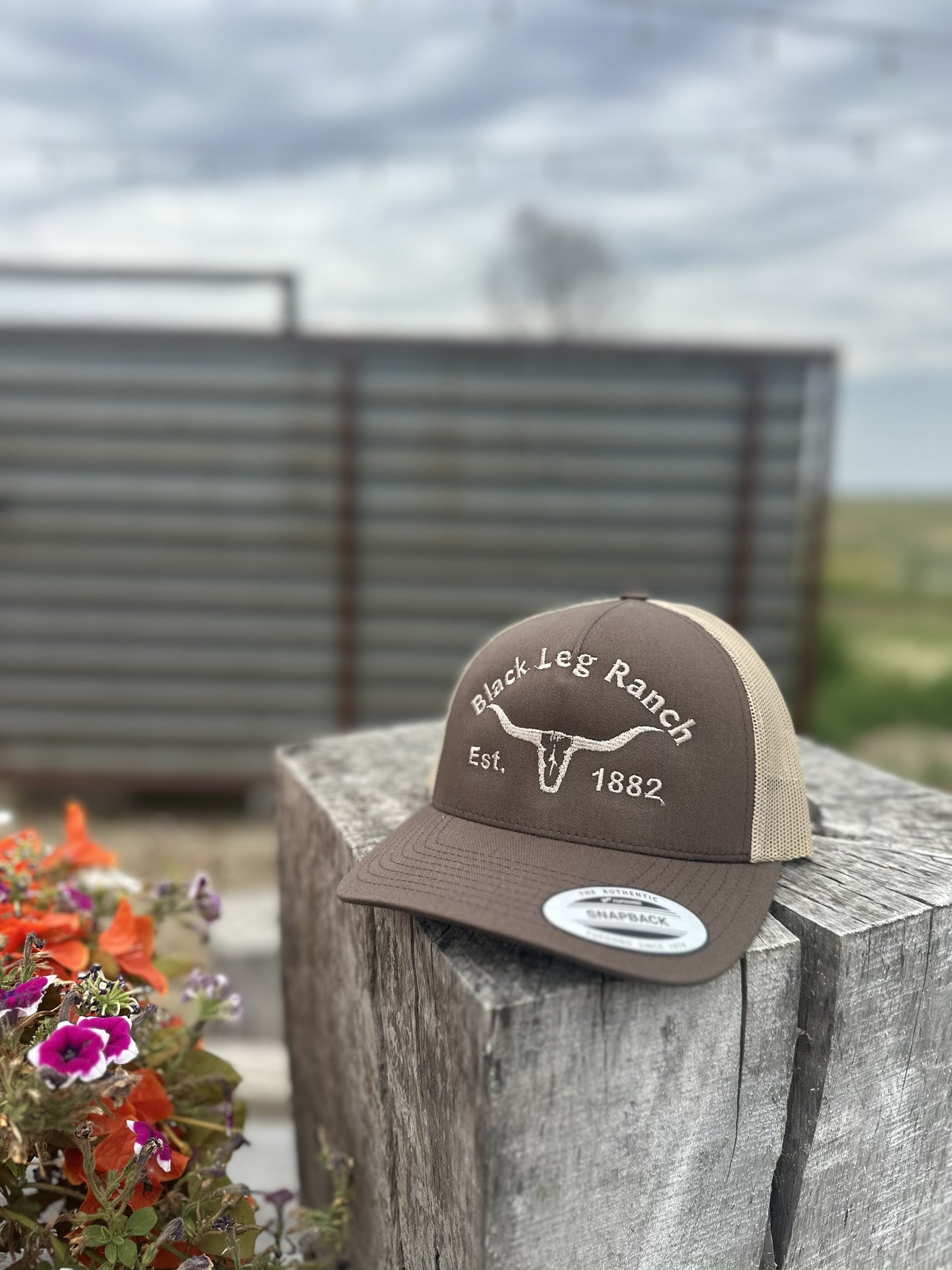 Black Leg Ranch Longhorn Hat (FREE SHIPPING)