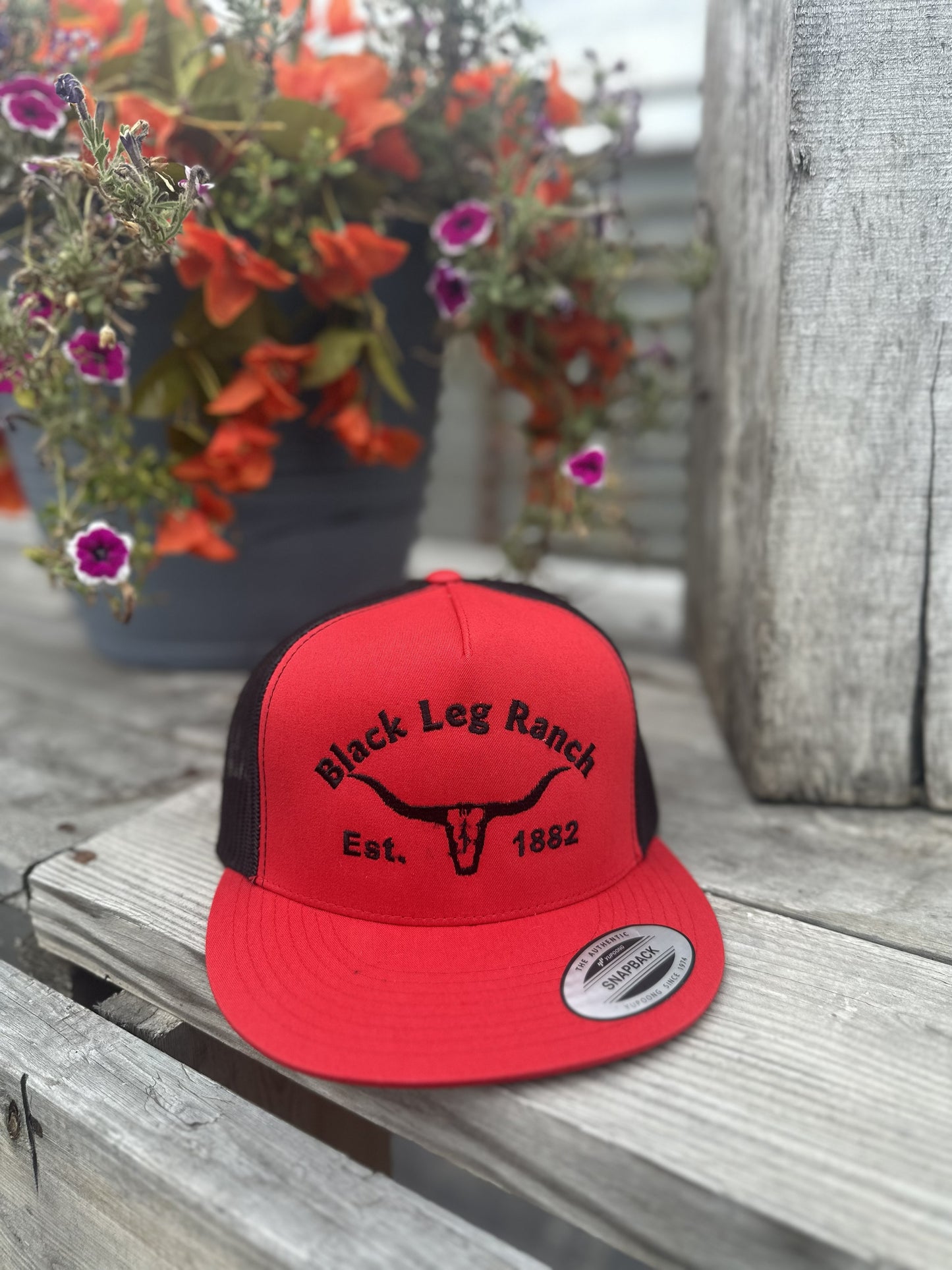 Black Leg Ranch Longhorn Hat (FREE SHIPPING)