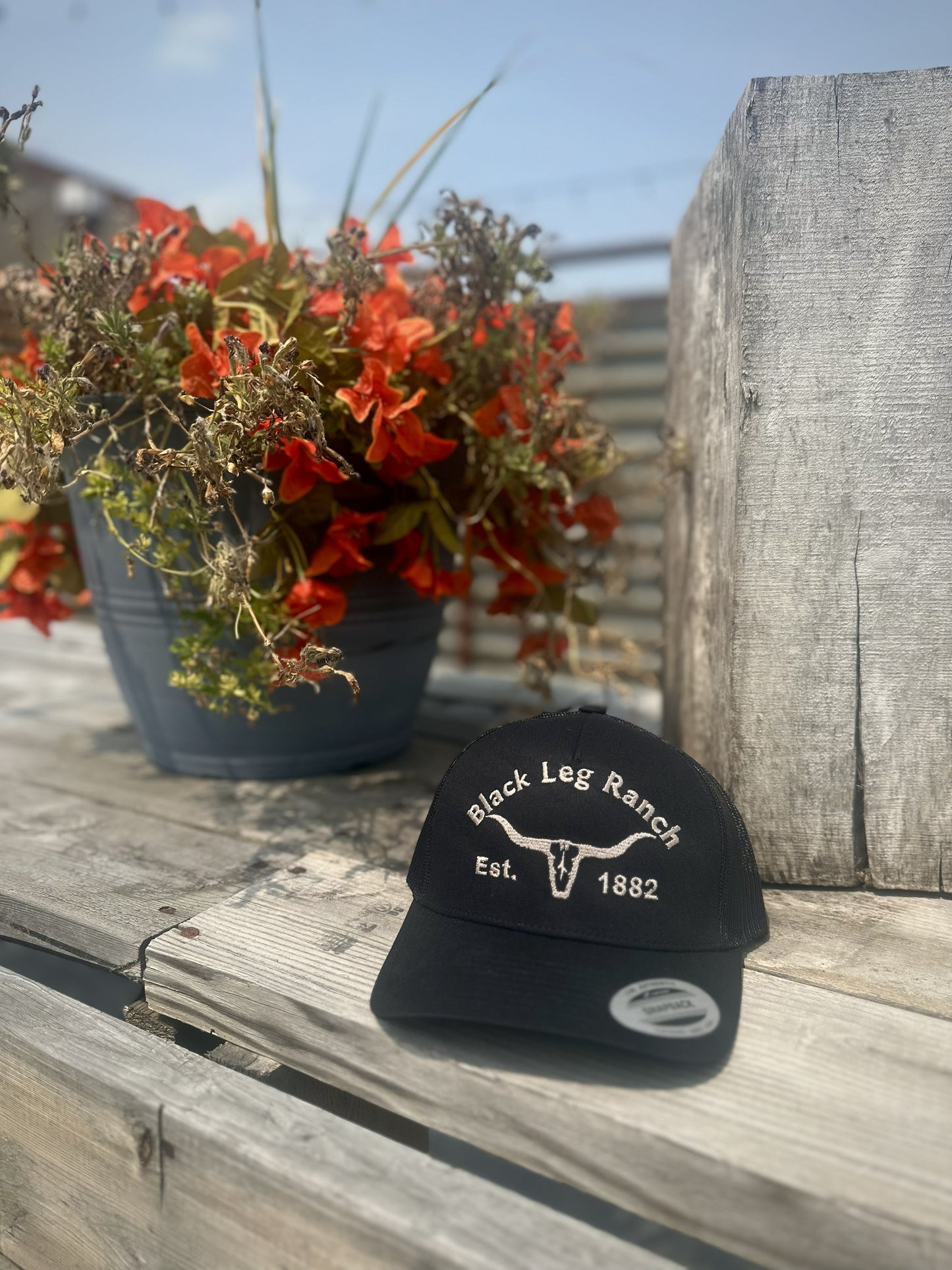 Black Leg Ranch Longhorn Hat (FREE SHIPPING)
